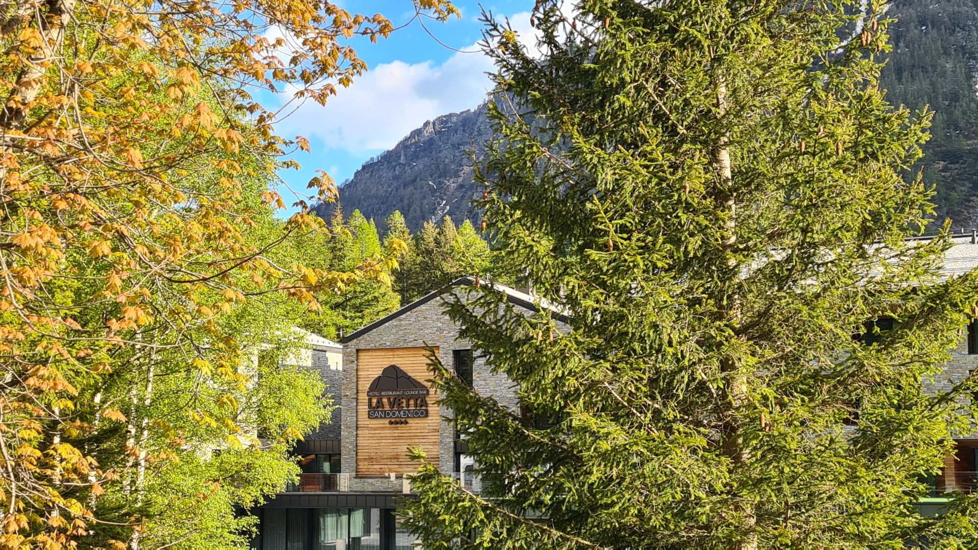 HOTEL LA VETTA SUMMER